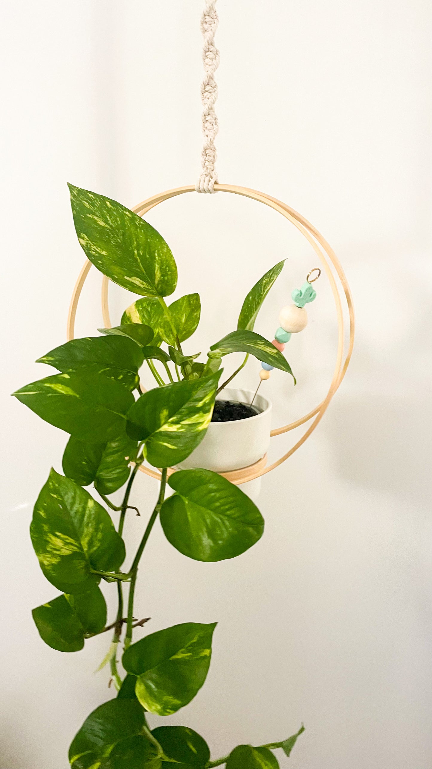 Kids Workshop - Make Your Own Hanging Planter