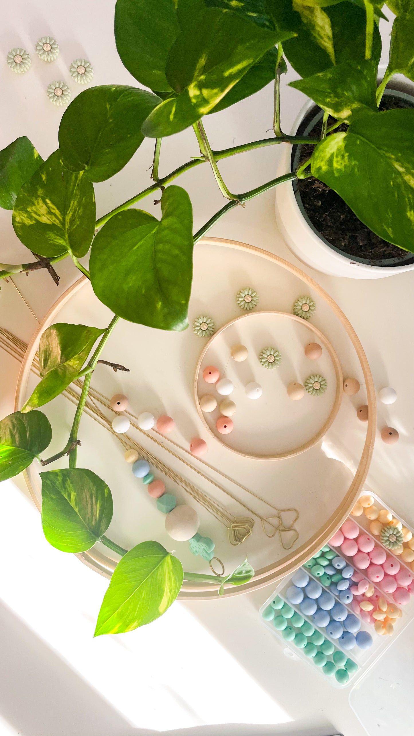 Kids Workshop - Make Your Own Hanging Planter
