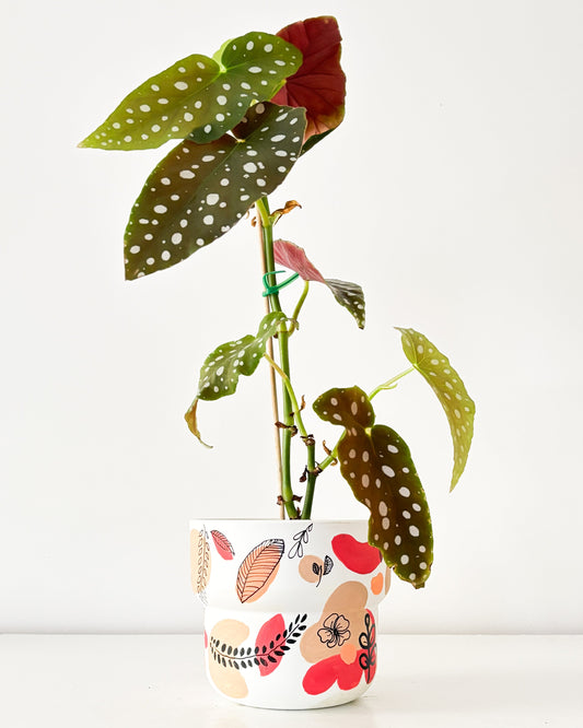 The Cosy Crafter - Pot Painting Kit