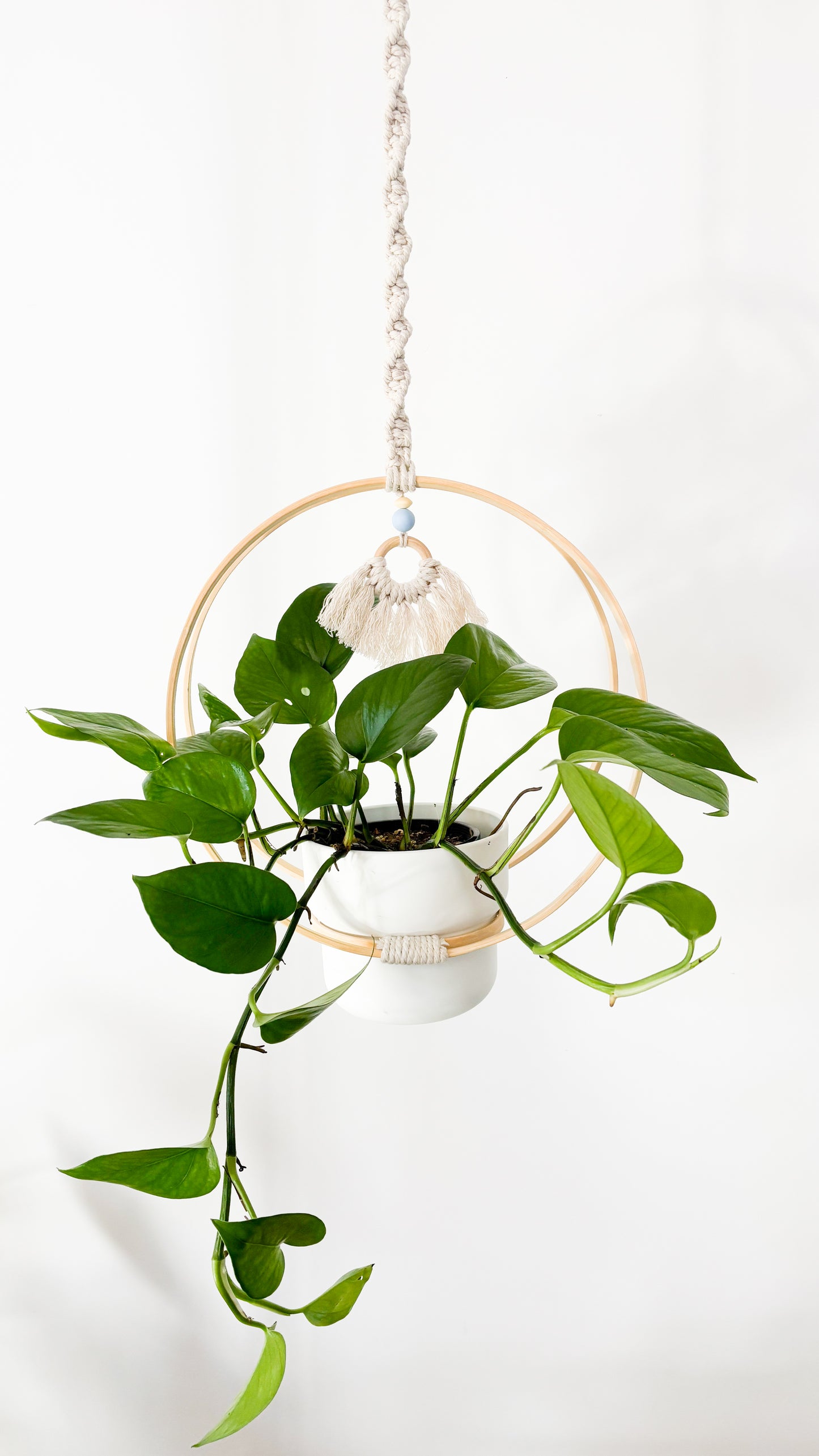 Hanging Planter With Charm - Craft Kit