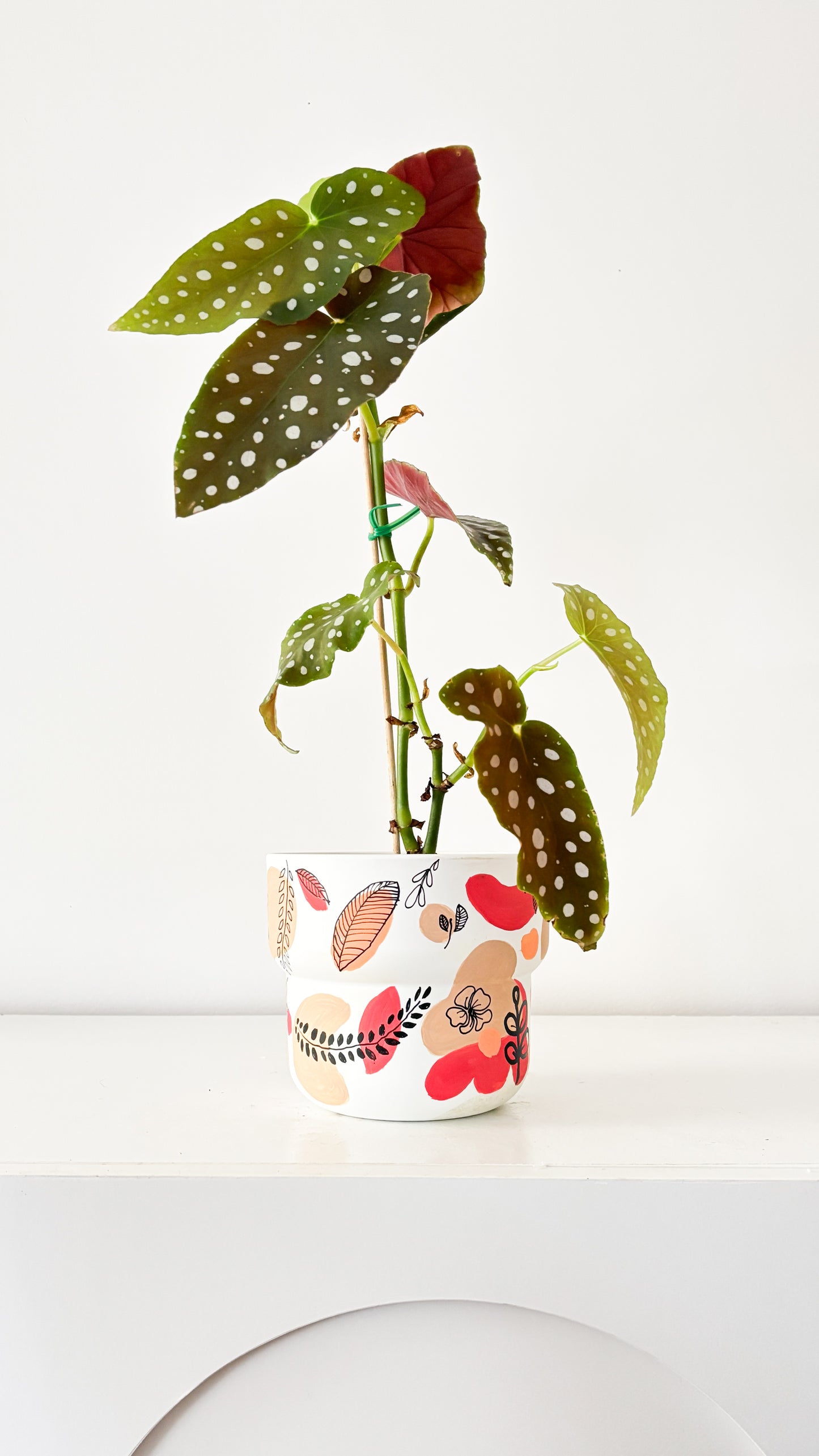 Paint and Sip - Plant Pot Painting Workshop