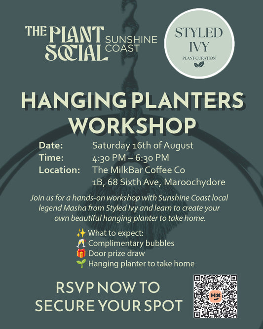 Make a Hanging Planter Workshop