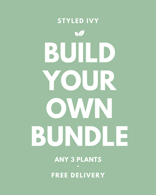 Build Your Own Bundle - 3 plants of your choice