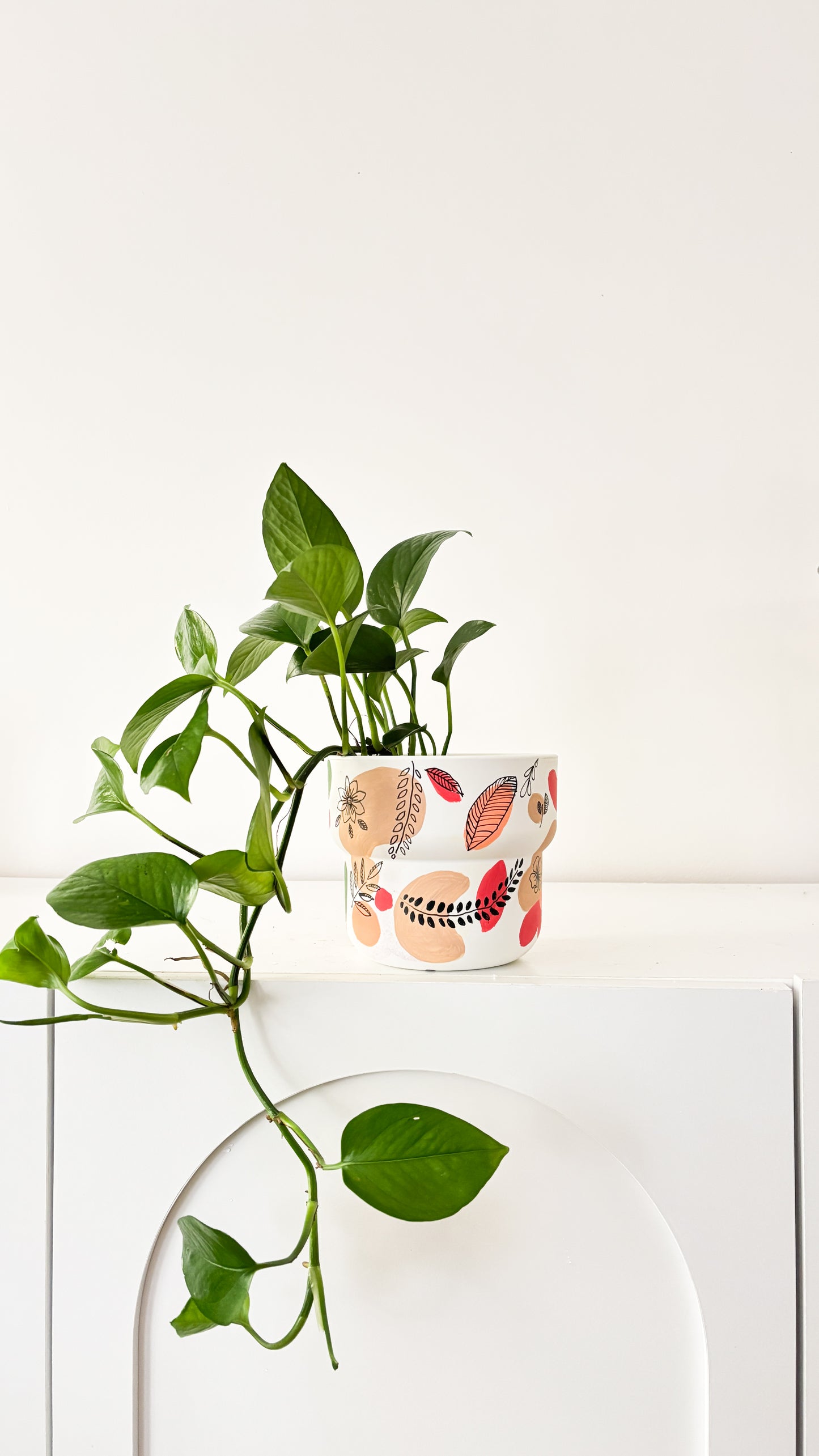 Paint and Sip - Plant Pot Painting Workshop