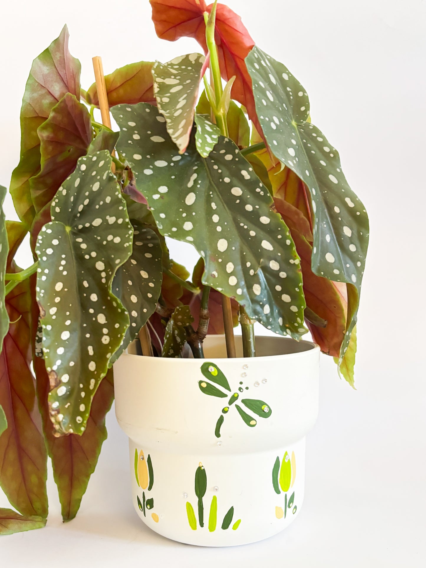 The Cosy Crafter - Pot Painting Kit For 2