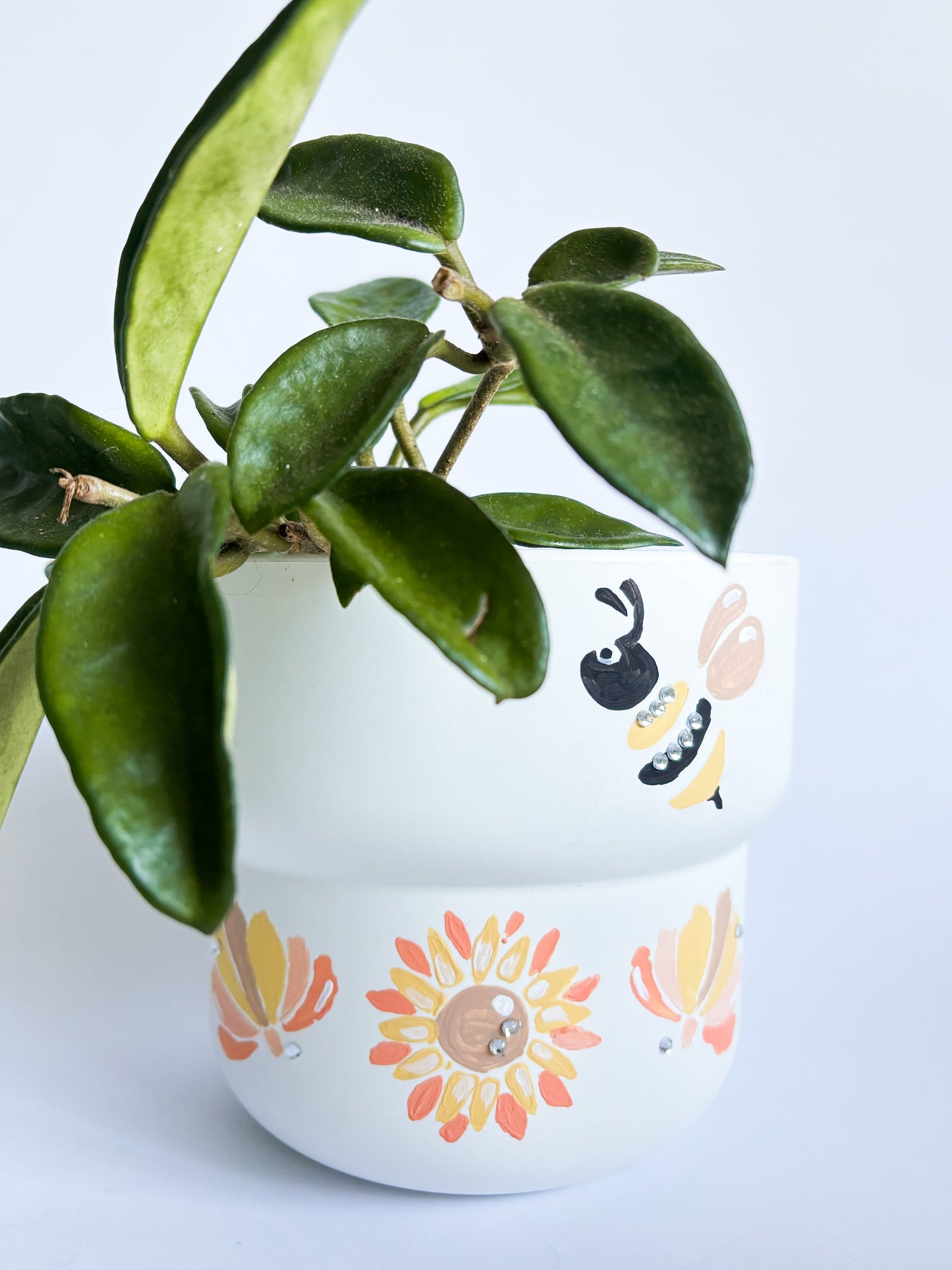 The Cosy Crafter - Pot Painting Kit For 2