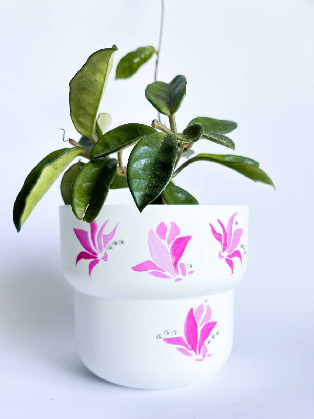 The Cosy Crafter - Pot Painting Kit