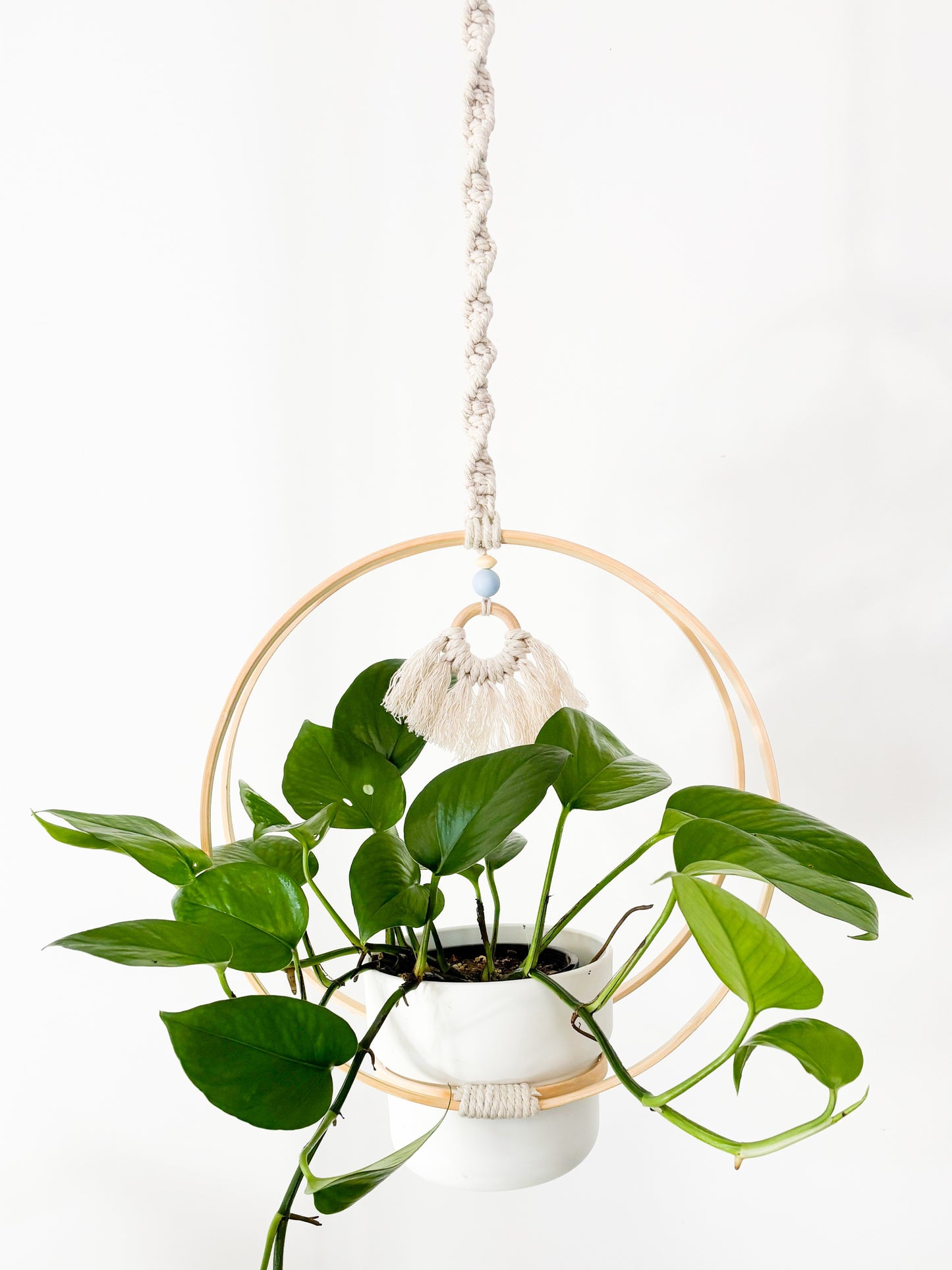 Ivy Hanger Kit – Craft Night for Three